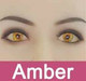 Amber (Required)