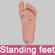 Standing Feet (+$75) (Required)